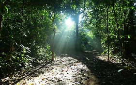 Vagamon Heights